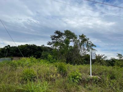 San Ignacio, San Ignacio, Cayo 00001, Belice