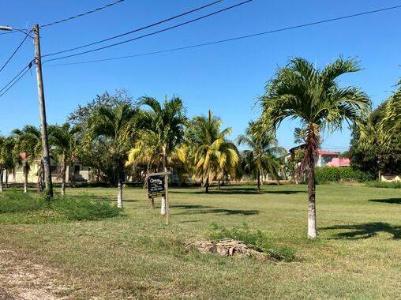 Belmopan, Belmopan, Cayo 00001, 貝里斯