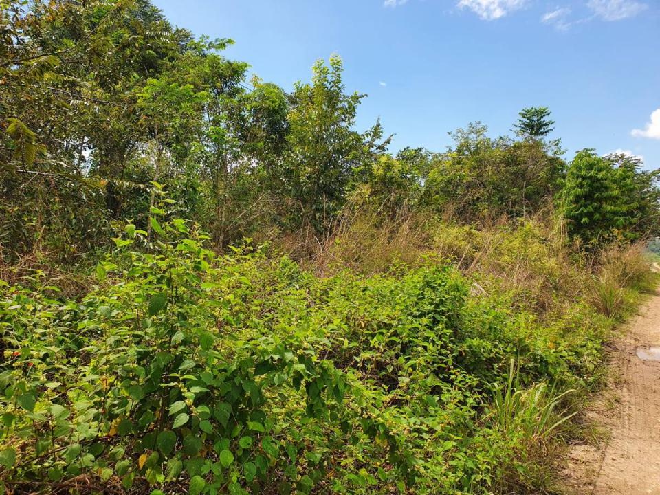 Belmopan, Belmopan, Cayo 00001, Belize