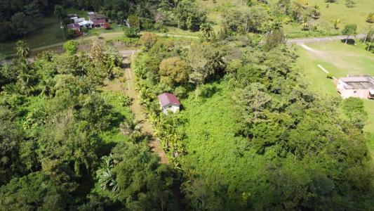 Toledo District, Toledo District, Toledo 00001, 貝里斯