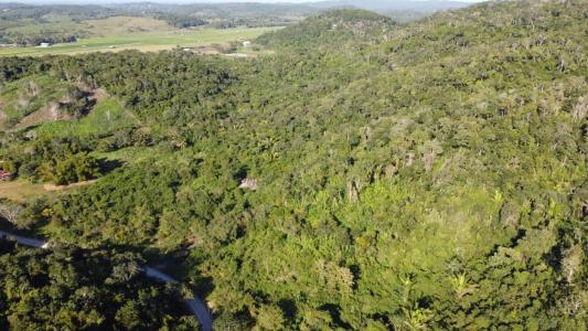 San Jose Succotz, San Jose Succotz, Cayo 00001, Belize