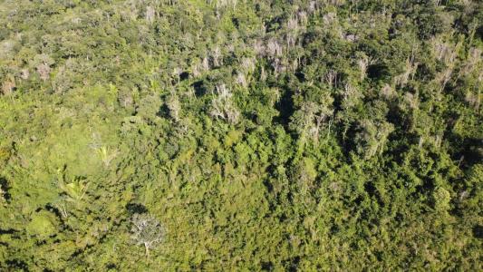 San Jose Succotz, San Jose Succotz, Cayo 00001, ベリーズ