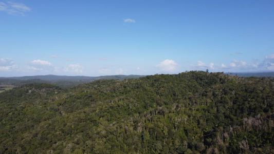 San Jose Succotz, San Jose Succotz, Cayo 00001, Belize