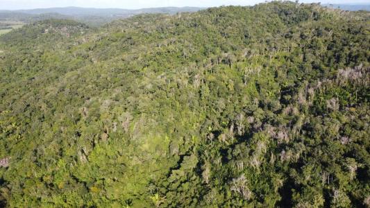 San Jose Succotz, San Jose Succotz, Cayo 00001, בליז