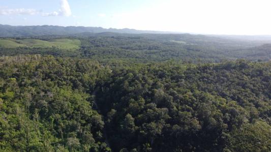 San Jose Succotz, San Jose Succotz, Cayo 00001, בליז