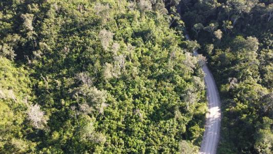 San Jose Succotz, San Jose Succotz, Cayo 00001, בליז