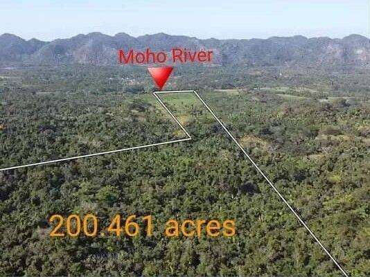 Hicatee, Hicatee, Toledo 00001, 伯利兹