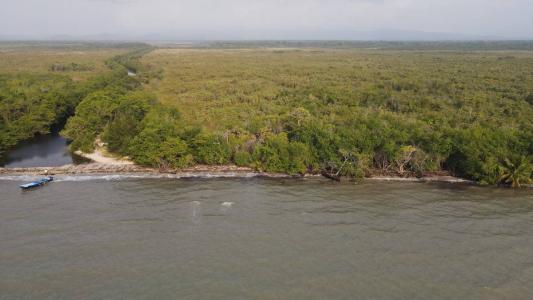 Hopkins, Hopkins, Stann Creek 00001, Belize