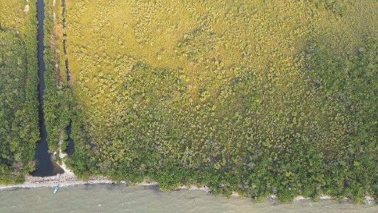 Hopkins, Hopkins, Stann Creek 00001, Belize