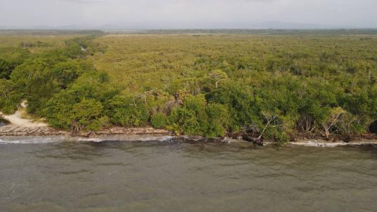 Hopkins, Hopkins, Stann Creek 00001, Belize