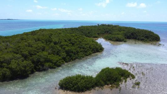 San Pedro Town, San Pedro Town, Ambergris Caye 00001, Belize