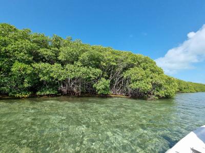 San Pedro Town, San Pedro Town, Ambergris Caye 00001, Belize