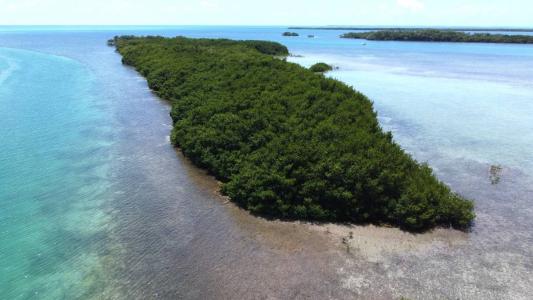 San Pedro Town, San Pedro Town, Ambergris Caye 00001, Belize