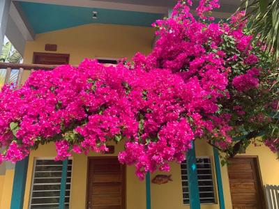 Hopkins, Hopkins, Stann Creek 00001, Belize