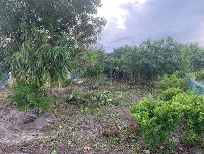 Belize District, Belize District, Belize District 00001, Belize