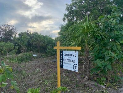 Belize District, Belize District, Belize District 00001, Belize