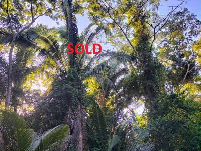 Jacintoville, Jacintoville, Toledo 00001, Belize