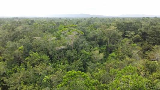 Hopkins, Hopkins, Stann Creek 00001, Belize