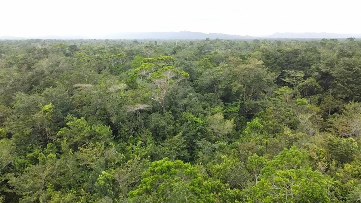 Hopkins, Hopkins, Stann Creek 00001, Belize