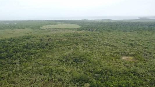 Hopkins, Hopkins, Stann Creek 00001, Belize