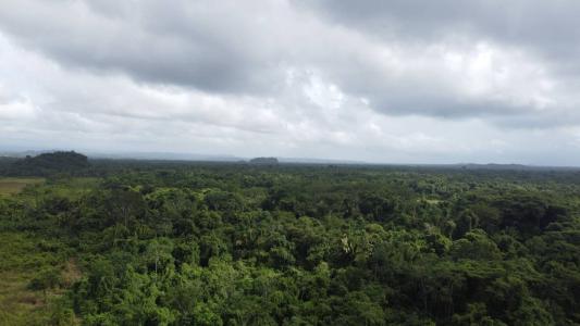 Toledo District, Toledo District, Toledo 00001, 貝里斯