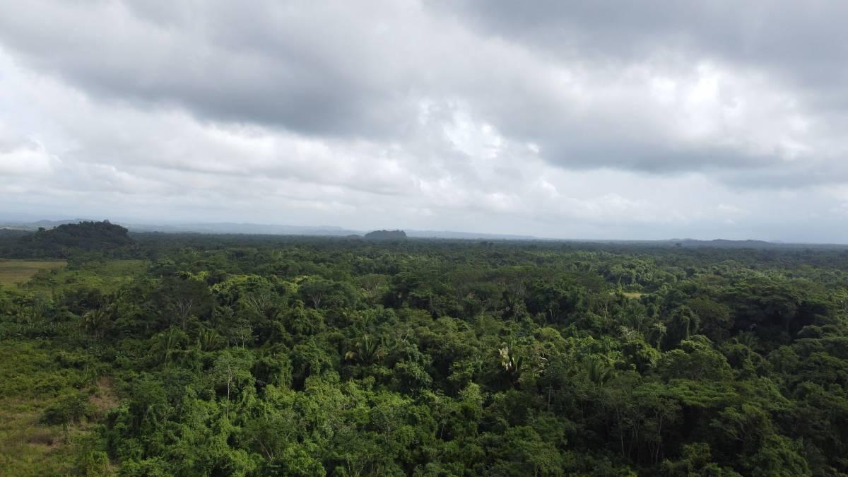 Toledo District, Toledo District, Toledo 00001, 貝里斯