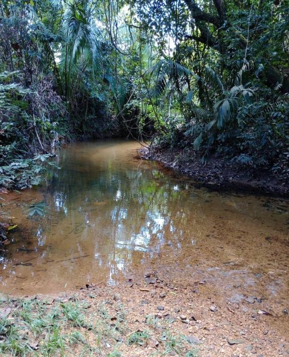 Gales Point, Gales Point, Belize District 00001, Bélize
