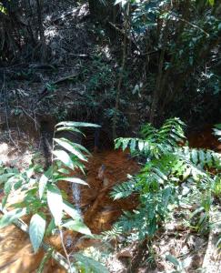 Gales Point, Gales Point, Belize District 00001, Bélize