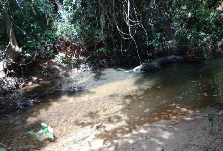 Gales Point, Gales Point, Belize District 00001, Bélize