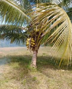 Gales Point, Gales Point, Belize District 00001, Bélize