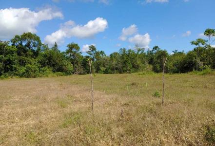 Gales Point, Gales Point, Belize District 00001, Bélize