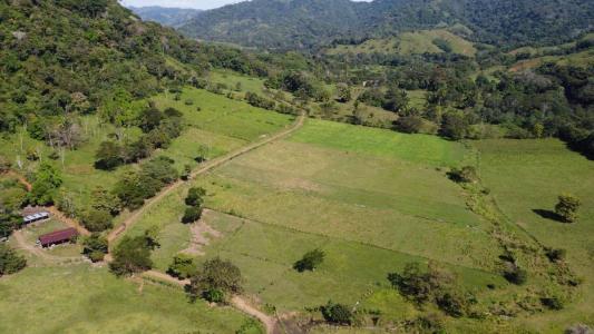 Turrubáres, Turrubáres, San José 00001, Costa Rica