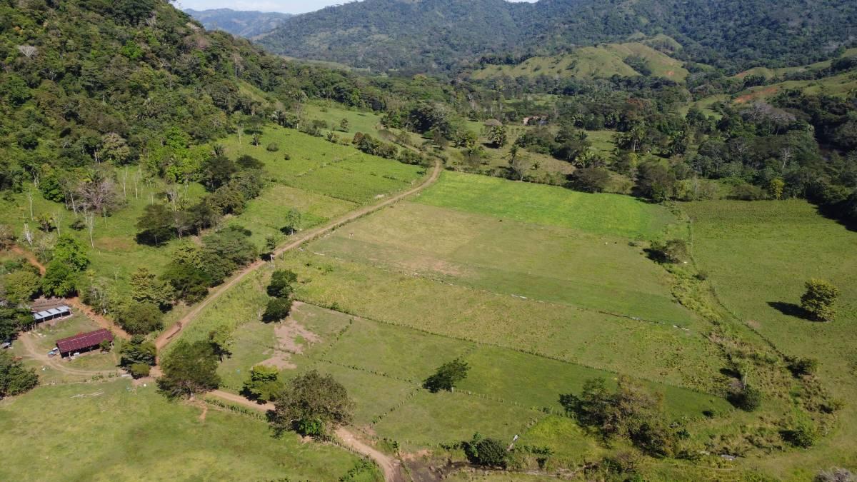 Turrubáres, Turrubáres, San José 00001, Costa Rica