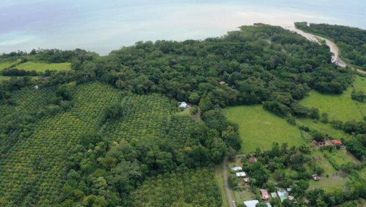 Golfito, Puerto Jiménez, Golfito, Puntarenas 00001, Costa Rica