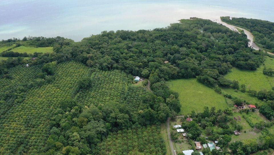 Golfito, Puerto Jiménez, Golfito, Puntarenas 00001, Costa Rica