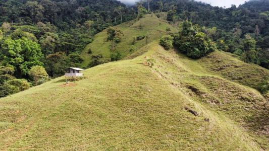 Pérez Zeledón, Pérez Zeledón, San José 00001, Costa Rica