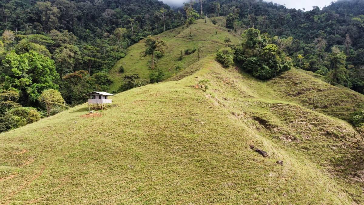 Pérez Zeledón, Pérez Zeledón, San José 00001, Costa Rica