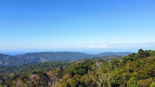 Barú, Barú, San José 00001, Costa Rica