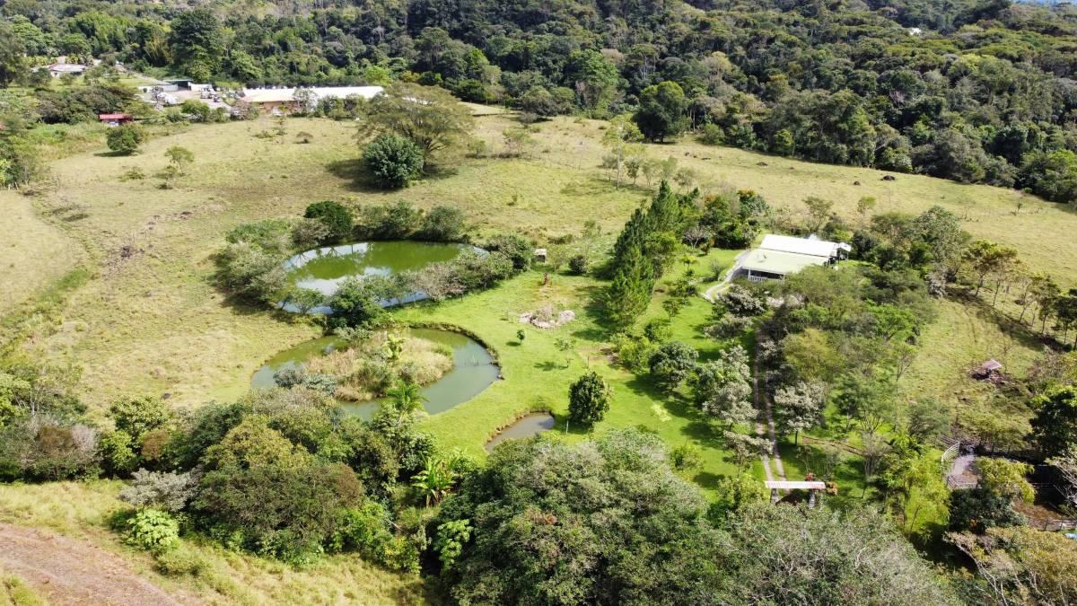 Pérez Zeledón, San Isidro Del Gener, Pérez Zeledón, San José 00001, Costa Rica