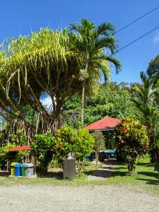 Talamanca, Cahuita, Talamanca, Limón 70403, Costa Rica
