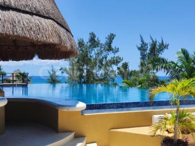 Centro 38, Solidaridad / Riviera Maya, Quintana Roo 77710, Mexico