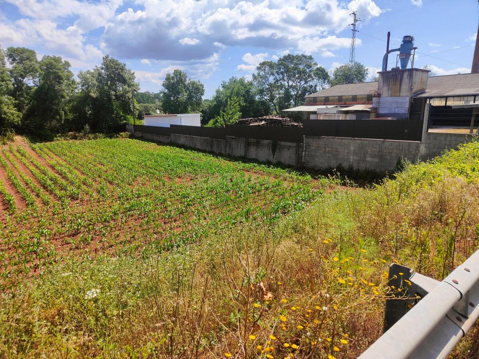 Aveiro, Aveiro 3800-692, Portugalia