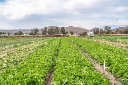 34250 Olive Avenue, Winchester, Californie 92596, États-Unis