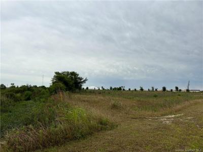 0 Louisiana Cotton Drive, Iowa, Louisiane 70647, États-Unis