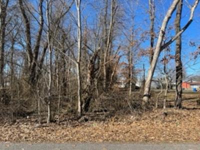 0 Hickory Street, La Center, Kentucky 42056, USA