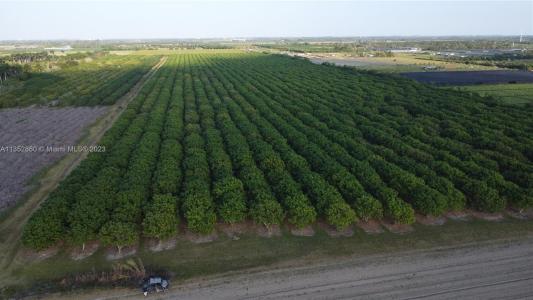 335xx 217th Ave Sw, Homestead, フロリダ 33034, アメリカ合衆国