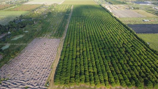 335xx 217th Ave Sw, Homestead, フロリダ 33034, アメリカ合衆国