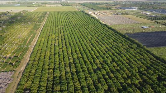 335xx 217th Ave Sw, Homestead, フロリダ 33034, アメリカ合衆国