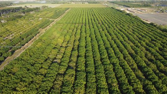 335xx 217th Ave Sw, Homestead, フロリダ 33034, アメリカ合衆国