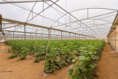 170 Port Parham Road, Windsor, SA 5501, Avustralya